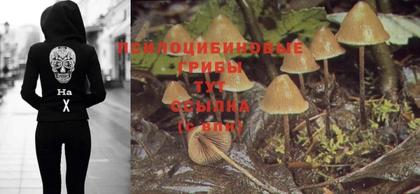 трава Михайловка